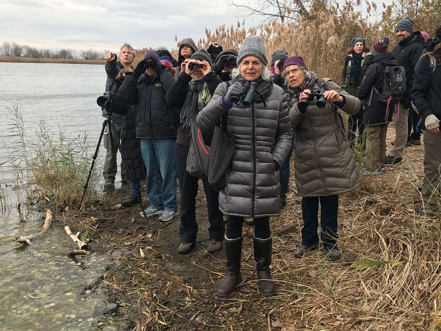 A classic waterfowl birding struggle: The bird is too far away to get a good look. Don Riepe