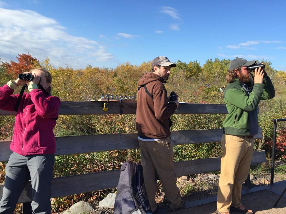 Kaija Gahm, Reed Turner, and Alex Lamoreaux, an employee at Hawk Ridge Bird Observatory, count migrating species during a hawk watch. Karen Stubenvoll/Hawk Ridge Bird Observatory