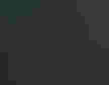 A Common Merganser parent stands on a rock with six small youngsters, looking at the photographer out of its periphery. The females cinnamon head and feather crest, and the pale ruddy heads of the still-downy chicks, pop in the glow of the morning light.