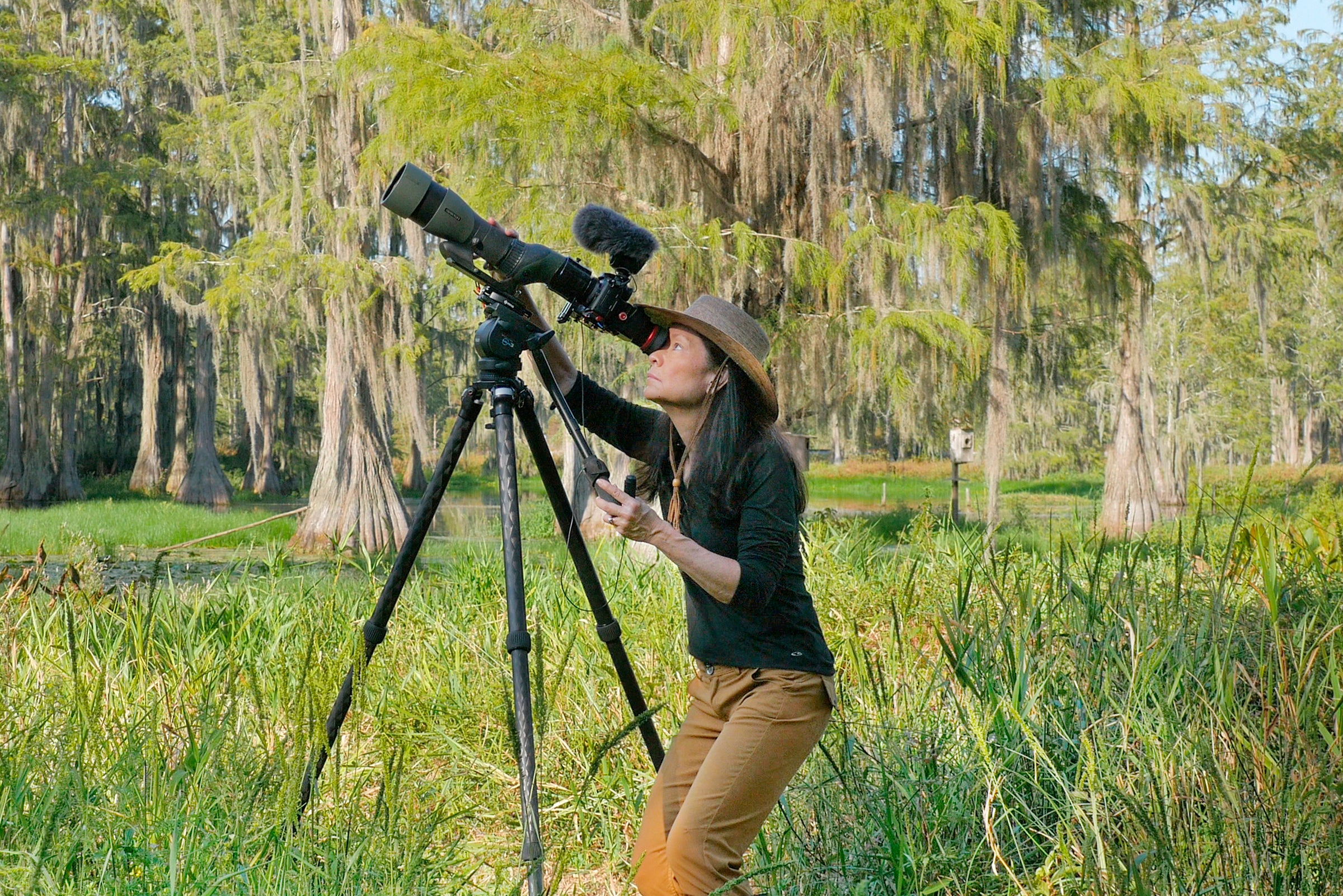 Tara Tanaka digiscoping. Tara Tanaka