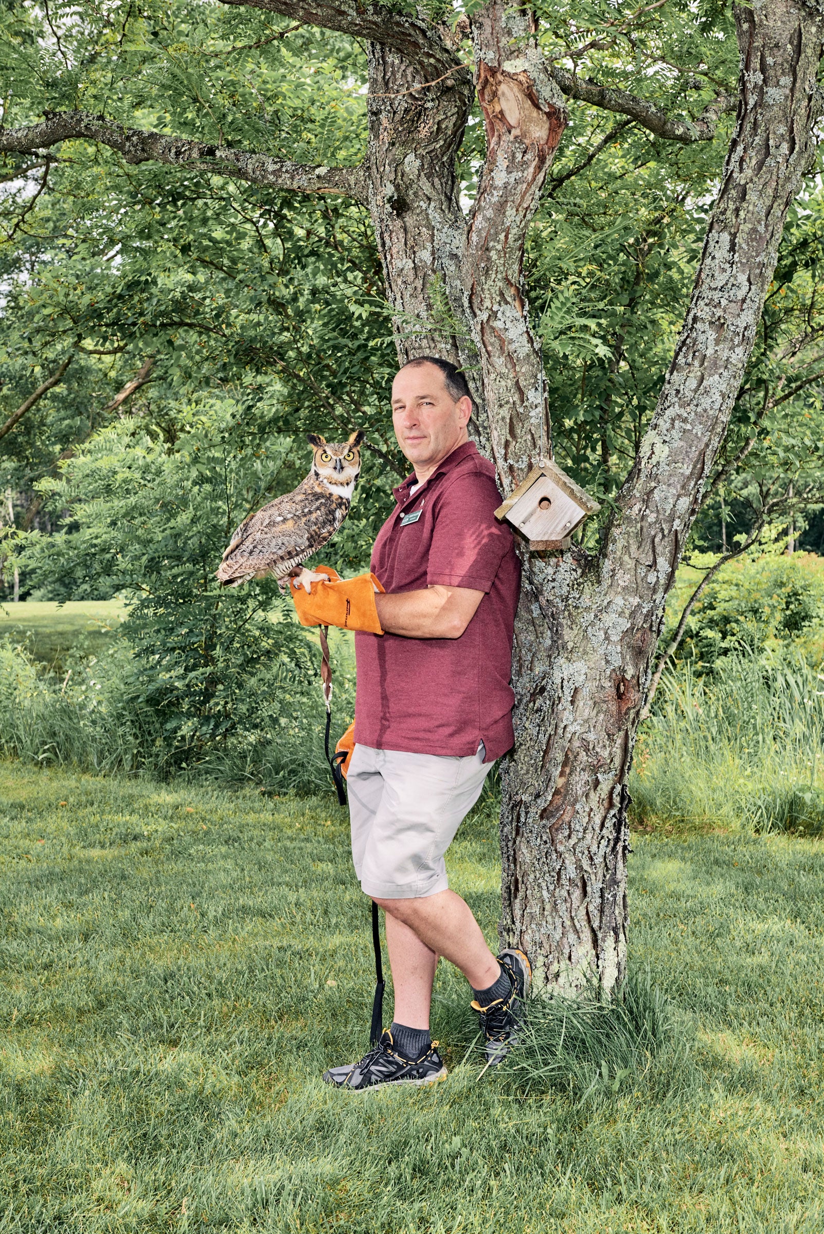 Vallières's guest star for the day comes from the Wings of Dawn rehab center in Henniker, New Hampshire. In previous visits, he's toted along non-releasable Bald Eagles, Merlins, and Barred Owls. Tony Luong
