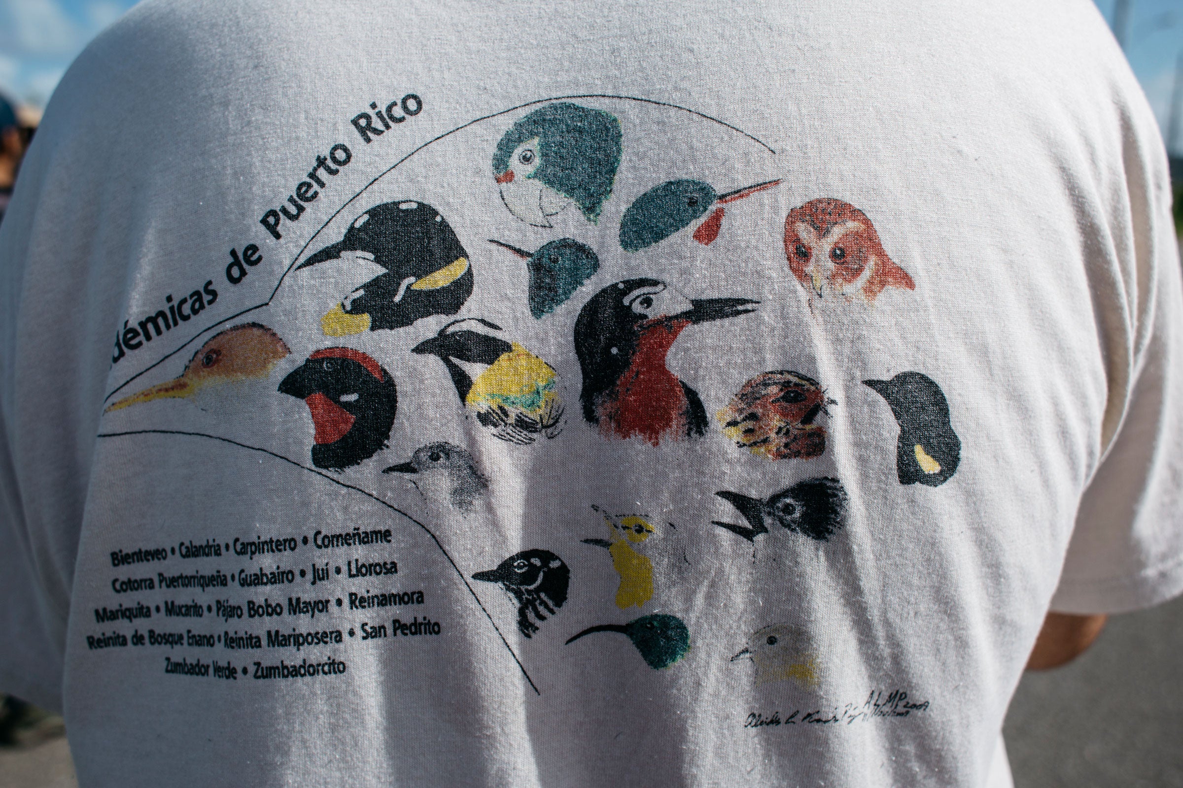 José Salguero's shirt depicts native Puerto Rican birds. With his eyesight waning, the biologist depends on calls, and the descriptions his wife provides him with, to identify birds. Erika P. Rodriguez