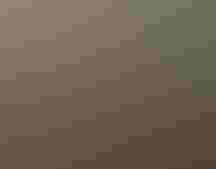 Aerial view of the Donal C. OBrien, Jr. Sanctuary and 勛圖窪蹋 Center at Pine Island in Corolla, North Carolina. Justin Cook