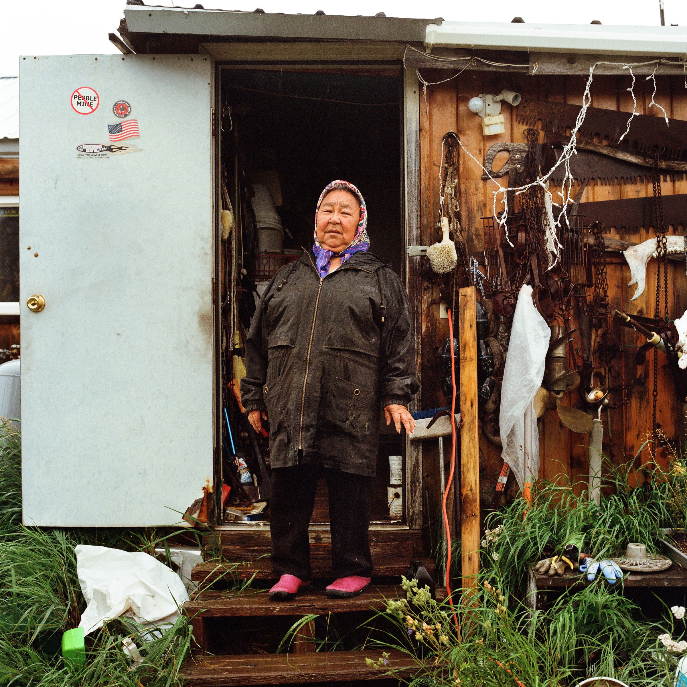 Bristol Bay salmon are a staple for local birds and people. Alaska Natives, who are a majority in the area, fear cultural and water impacts from proposed copper and gold extraction. Brian Adams