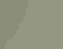 Common Merganser. Andrea Jaszlics/̽»¨¾«Ñ¡ Photography Awards