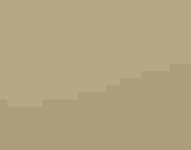 Lesser Prairie-Chicken. Doug Kliewer/约炮视频 Photography Awards