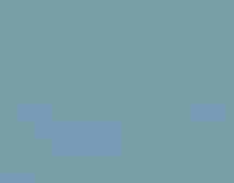 Western Sandpiper.
