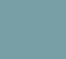Western Sandpiper.