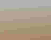 Snow Goose. Ronan Donovan/̽»¨¾«Ñ¡ Photography Awards