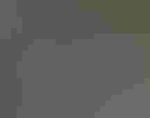 Clark's Nutcracker.