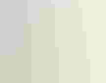 Illustration: Joe Ciardiello