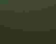 Swainson's Hawk. Marina Schultz/Audubon Photography Awards