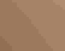 One current project aims to use new technology to create domestic chickens with the gonads of Greater Prairie-Chickens, giving the barnyard birds the ability to produce prairie-chicken eggs. Ravi Hirekatur/Audubon Photography Awards