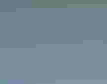 Wood Duck. Mark Hainen/Audubon Photography Awards