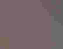 Fox Sparrow