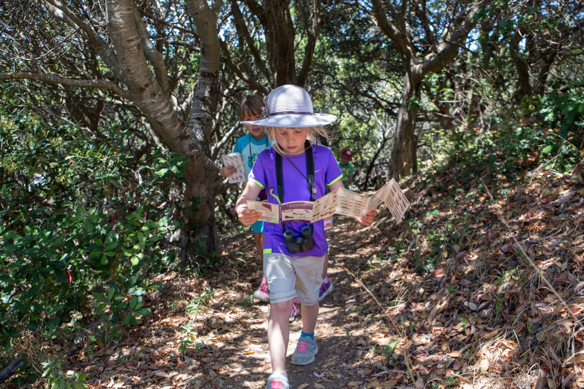 Want to get kids excited about birding? Make it into a game by telling them it's a big scavenger hunt. Camilla Cerea/Audubon