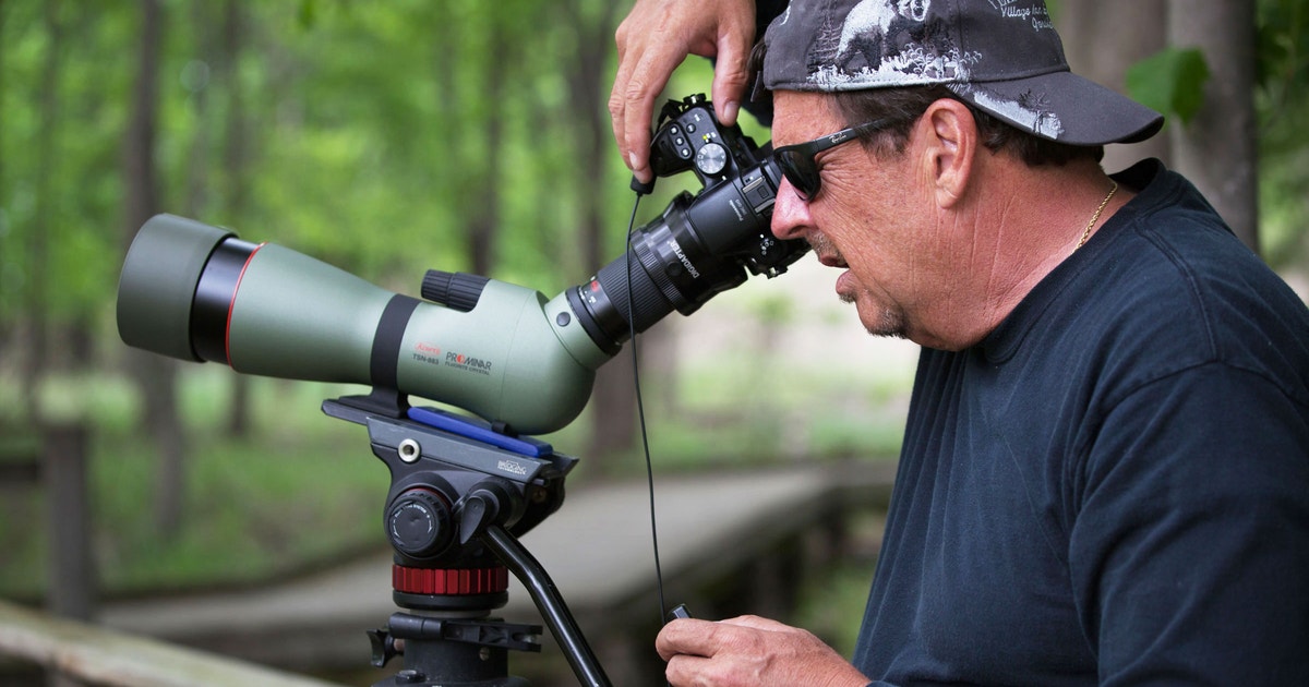 How to Go Birding With a Camera: Expert Tips for Stunning Shots
