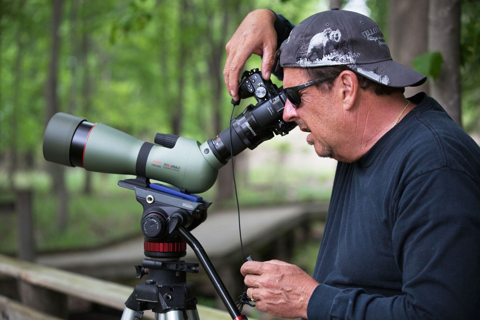 Why You Need to Start Digiscoping | Audubon