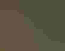 Canada Warbler. John Benson/Flickr CC (BY 2.0)