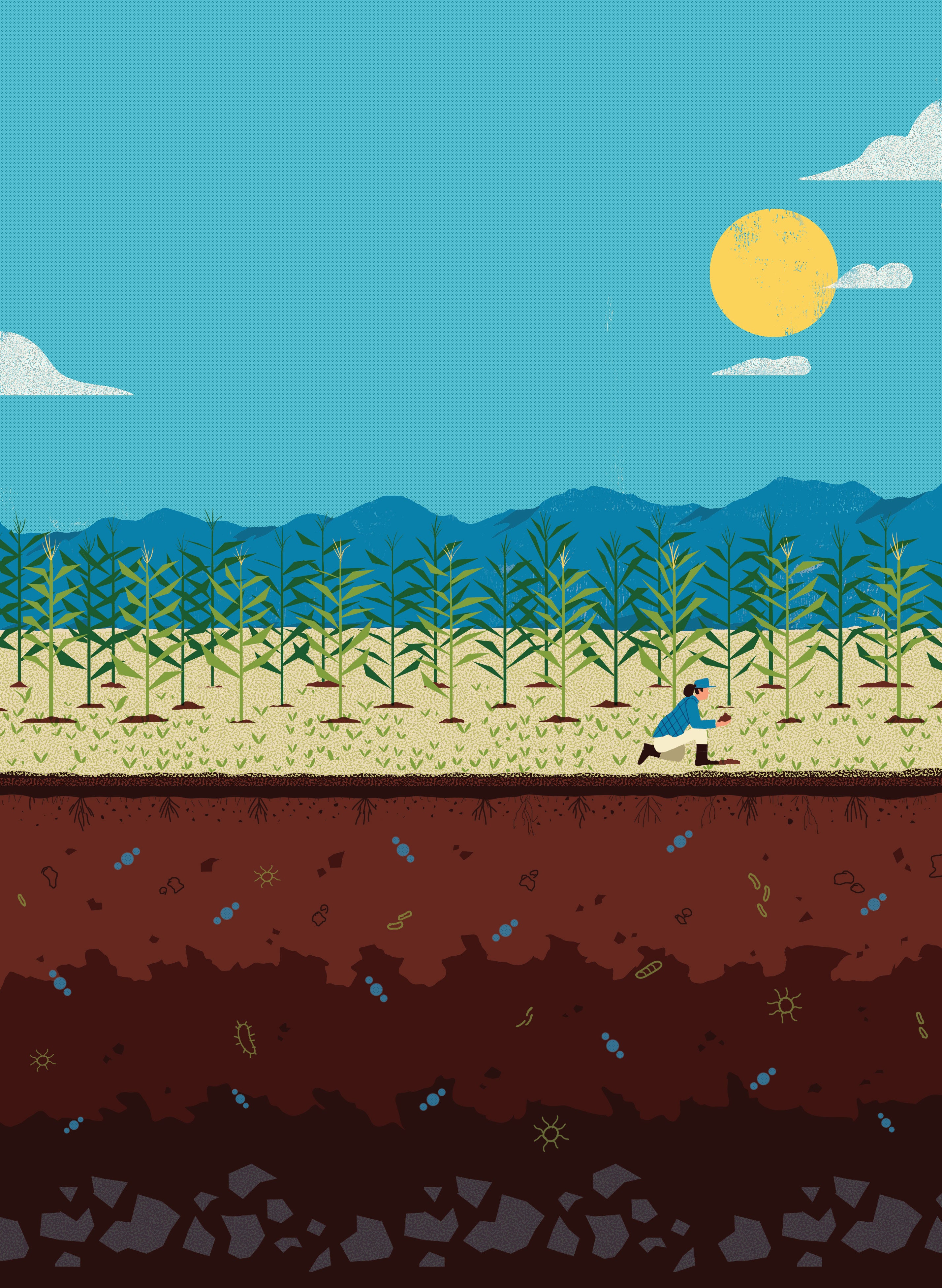 Illustration: Mike Ellis