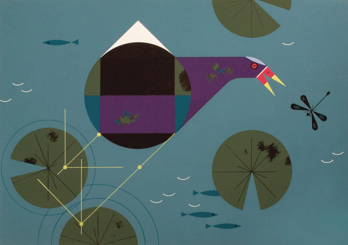 Purple Gallinule. Illustration: Charley Harper