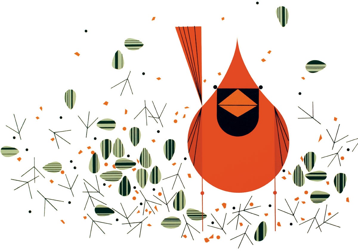 Northern Cardinal. Illustration: Charley Harper
