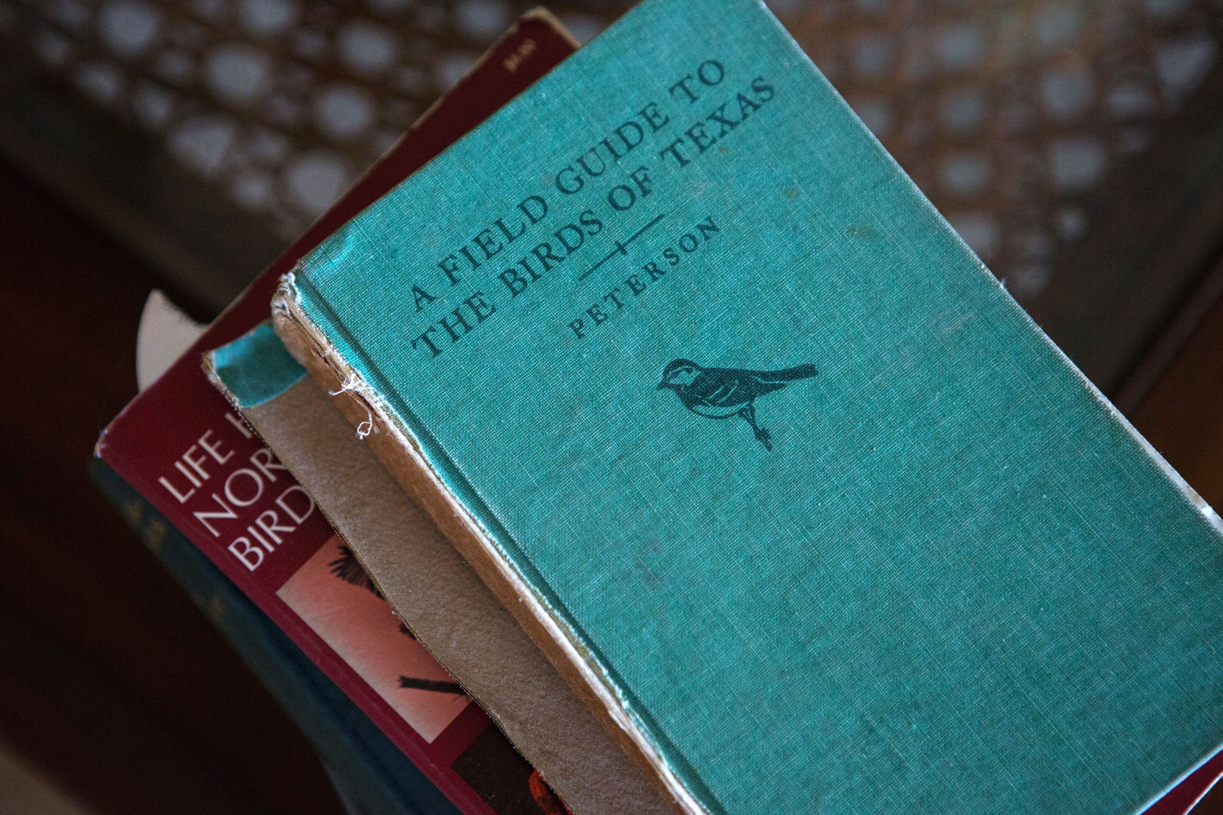 This Peterson book was one of the first field guides Debi bought after a pet sparrow sparked her passion for birds. Lauren Owens Lambert