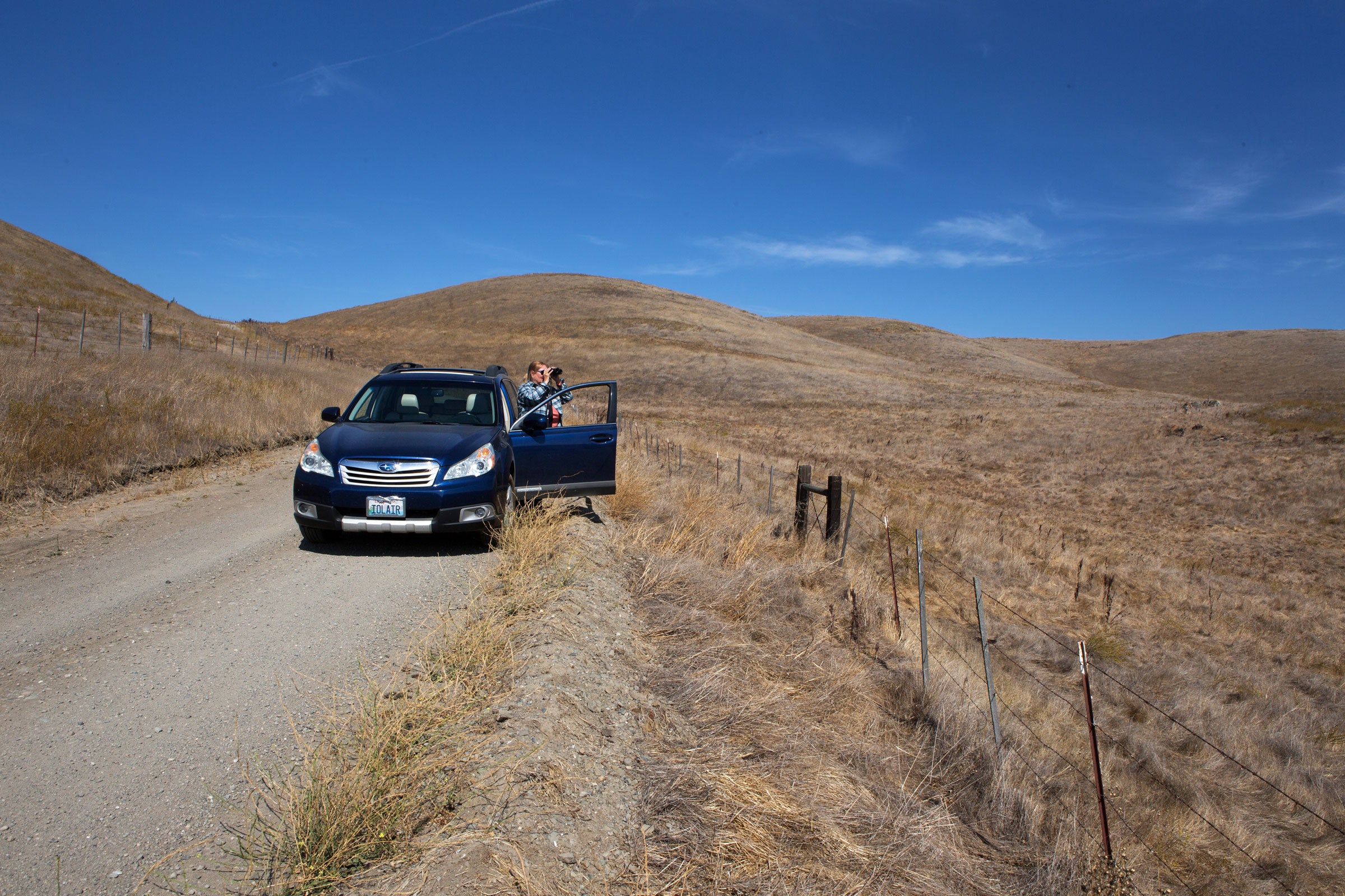 Shearwater, who has already helped protect terrestrial birds including eagles and Tricolored Blackbirds, now plans to bird the same roads year after year. Lauren Owens Lambert