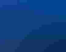 On the left half of a diptych, a hand holds a Purple Martin, a deep indigo and black bird, wearing a radio tracking device on its back. In the right side of the diptych, a flock of silhouetted Purple Martins fly in a dark blue sky.