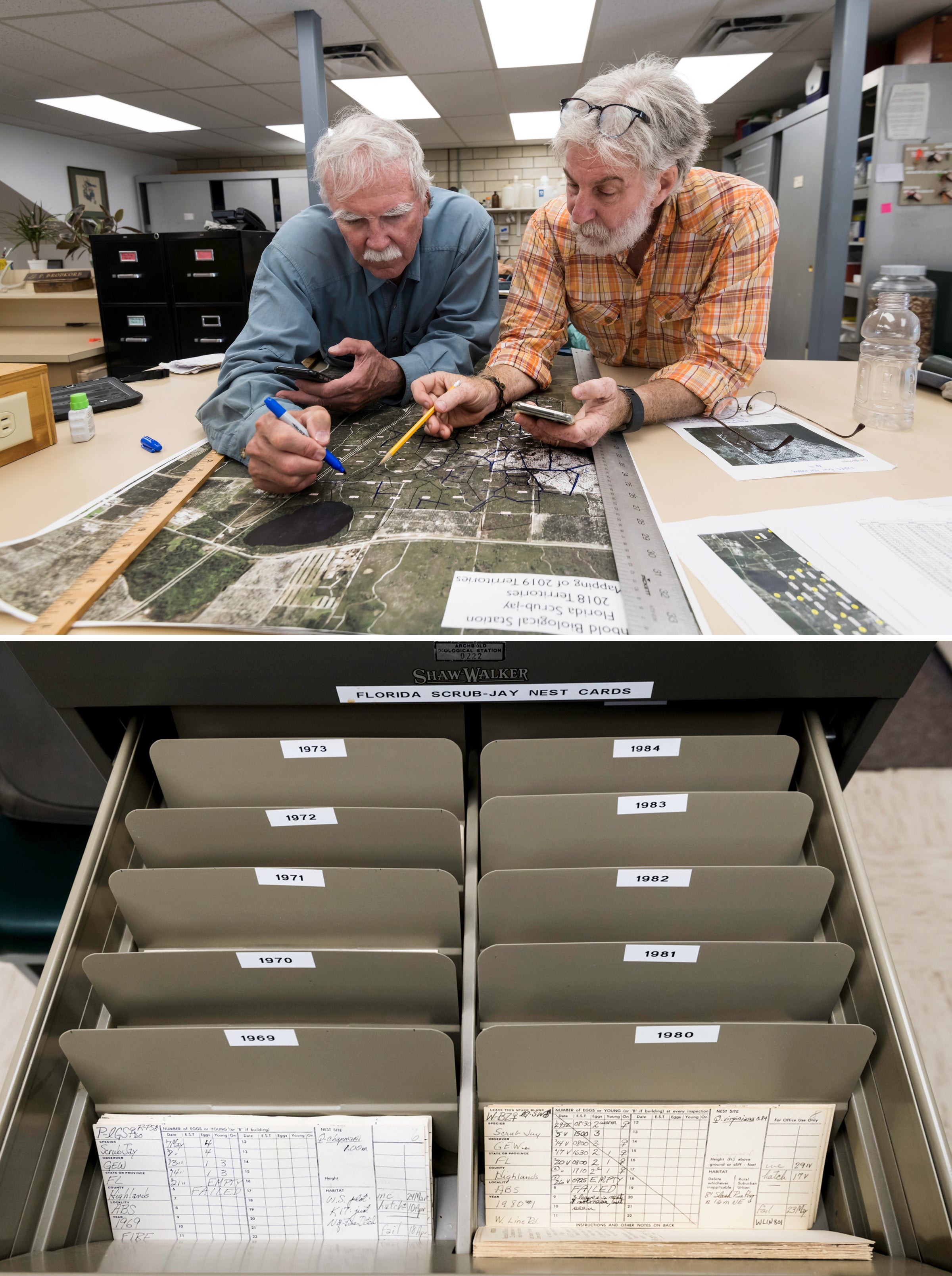 John Fitzpatrick, left, and Reed Bowman pore over maps at Archbold Biological Station, top. Index cards, bottom, are used to track the scrub-jay population over the decades. Photos: J. Adam Fenster/University of Rochester