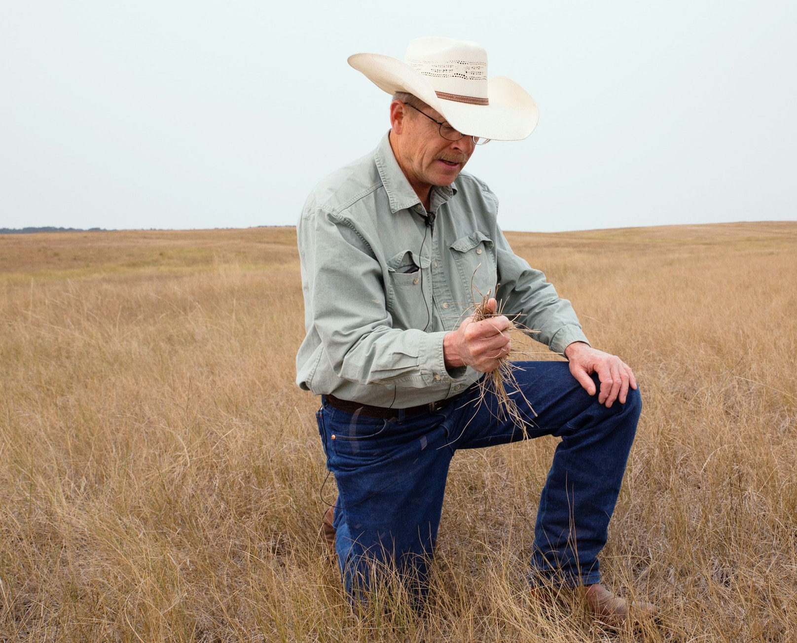 Conservation Ranching For Consumers and Conservationists: FAQs on Conservation Ranching | Audubon
