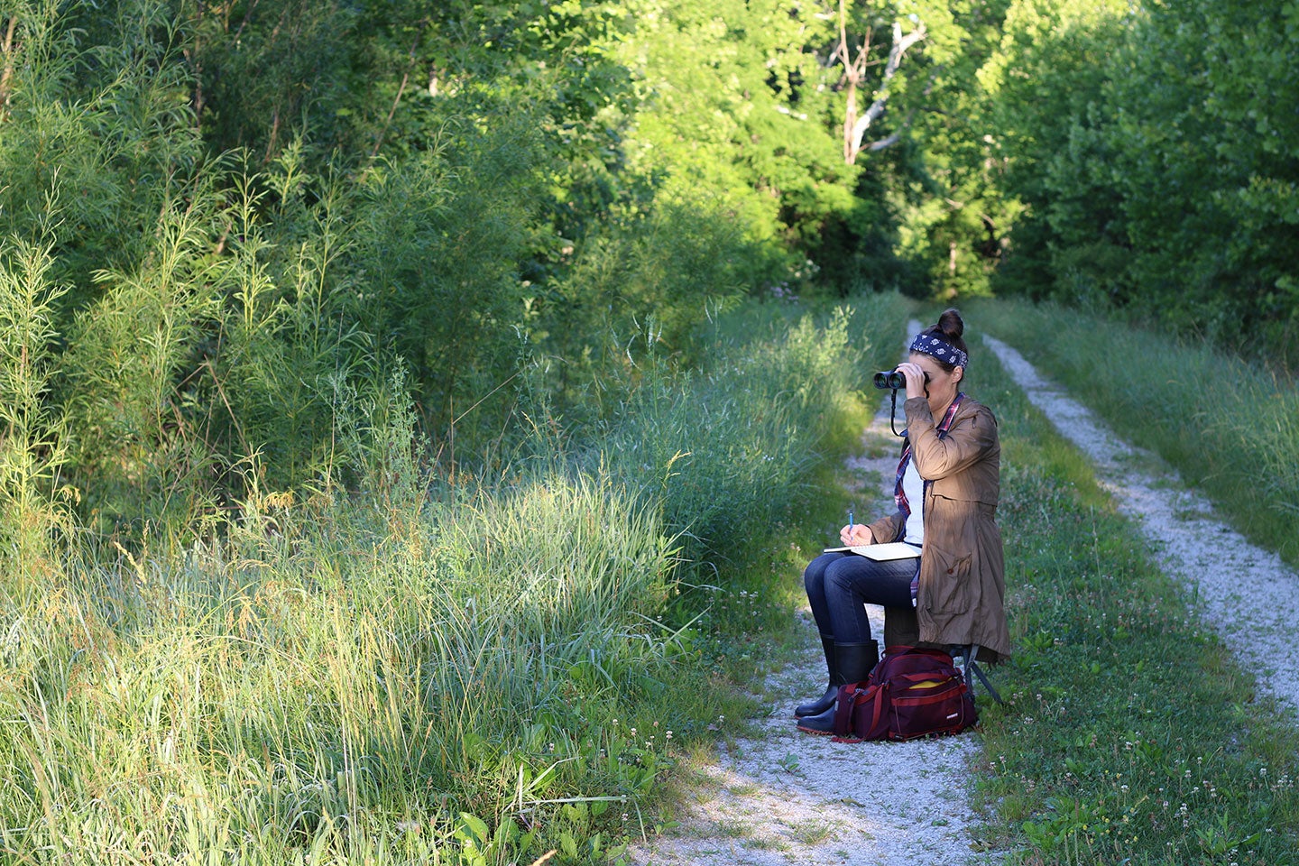 Warnick's necessities include binoculars and a stool. They let her capture the infinite details in field marks, while allowing her to stay comfy and keep a steady hand over long hours of sketching. Shae Warnick
