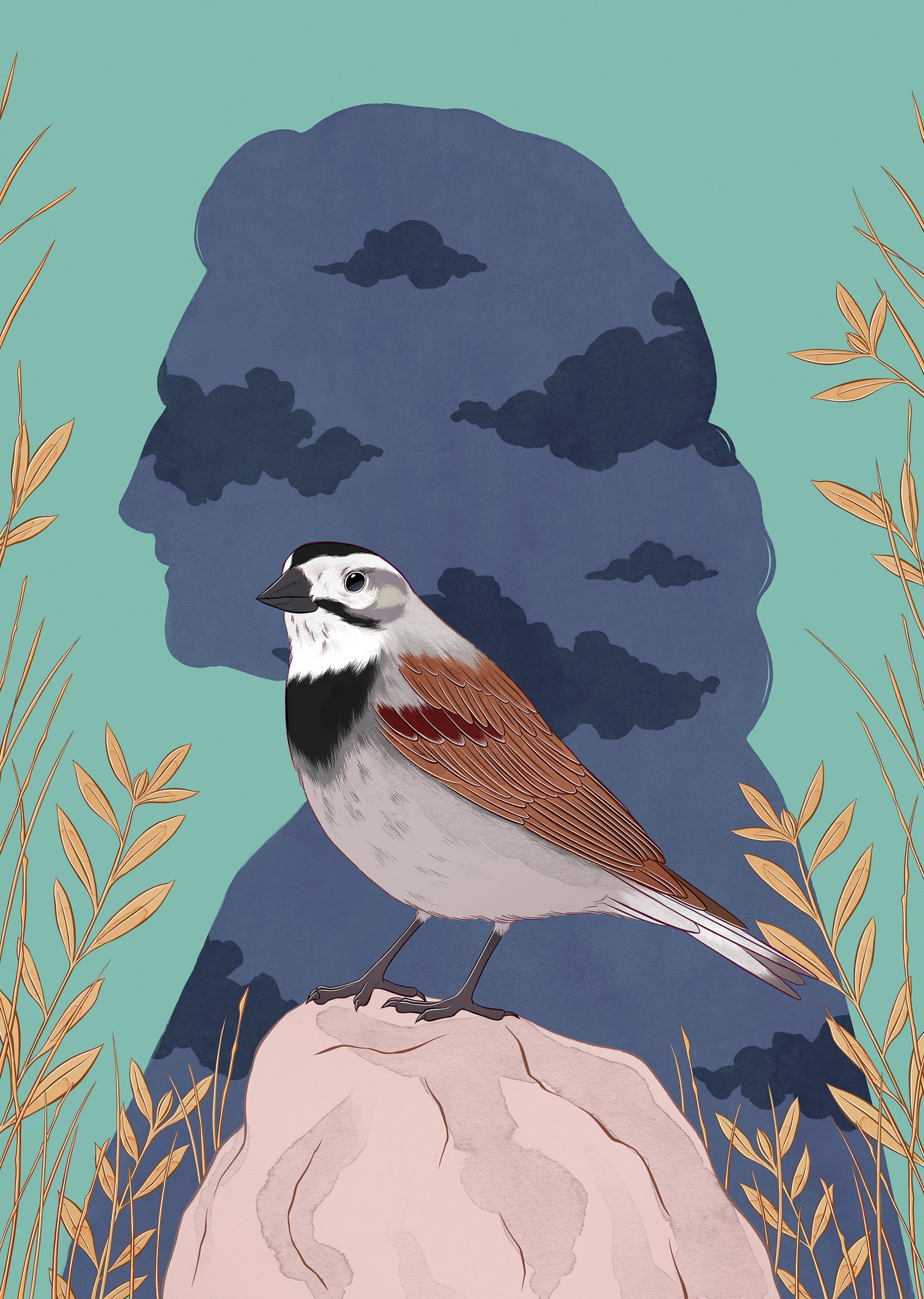 Segregation Bird Birding and Conservation Groups Are Beginning to Grapple With Racist ...