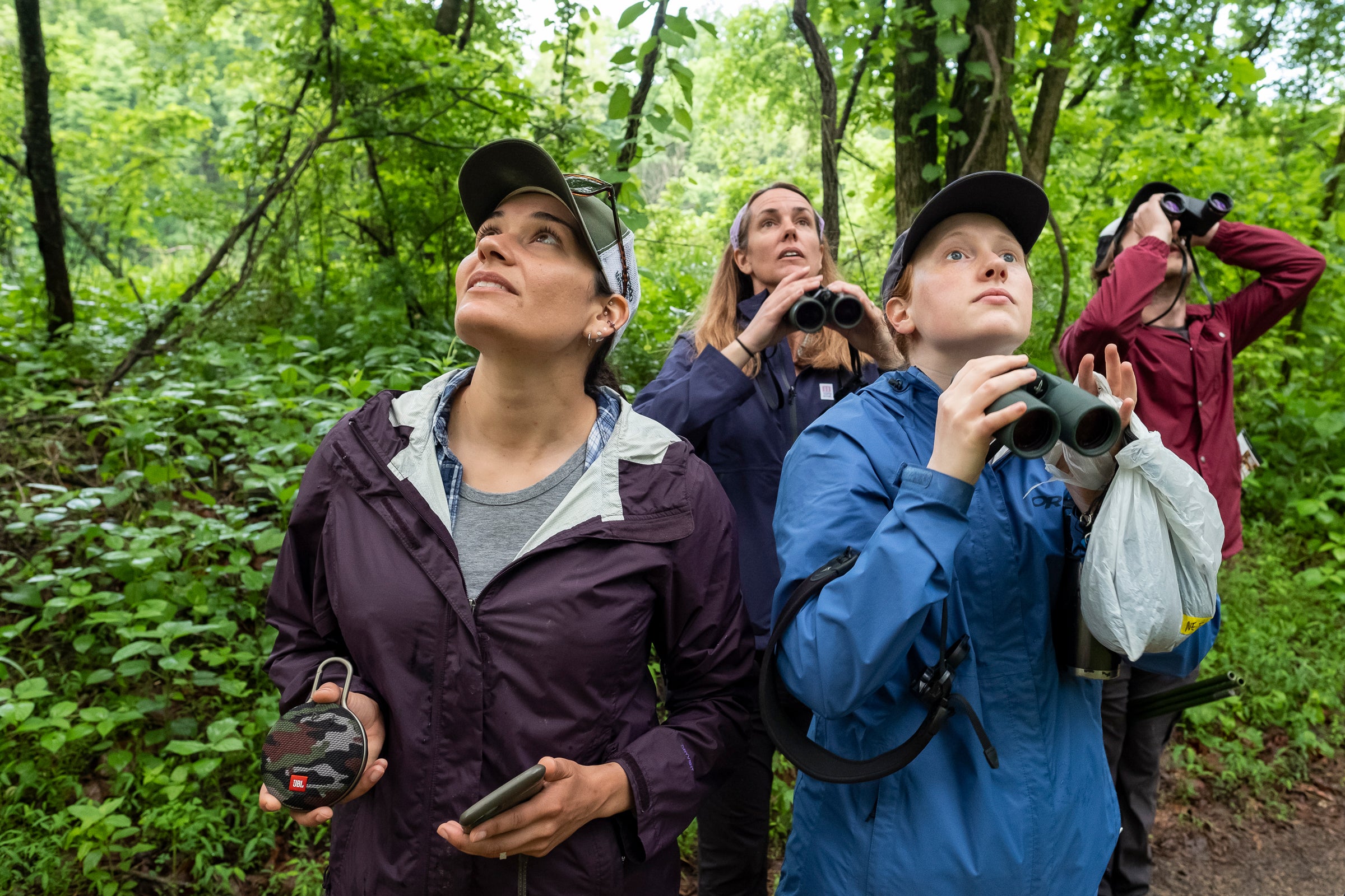 In a lush, green forest, four researchers look skyward with binoculars in hand.