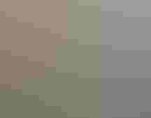 Clockwise in a grid from top left: a Greater Prairie-Chicken portrait; two White-tailed Kites exchange a vole; a White-tailed Ptarmigan in a mountain landscape; a group of Northern Shovelers; two Common Ravens grooming; a BlackÂ-bellied Whistling-ÂDuck looking inside a hollowed Âout palm.