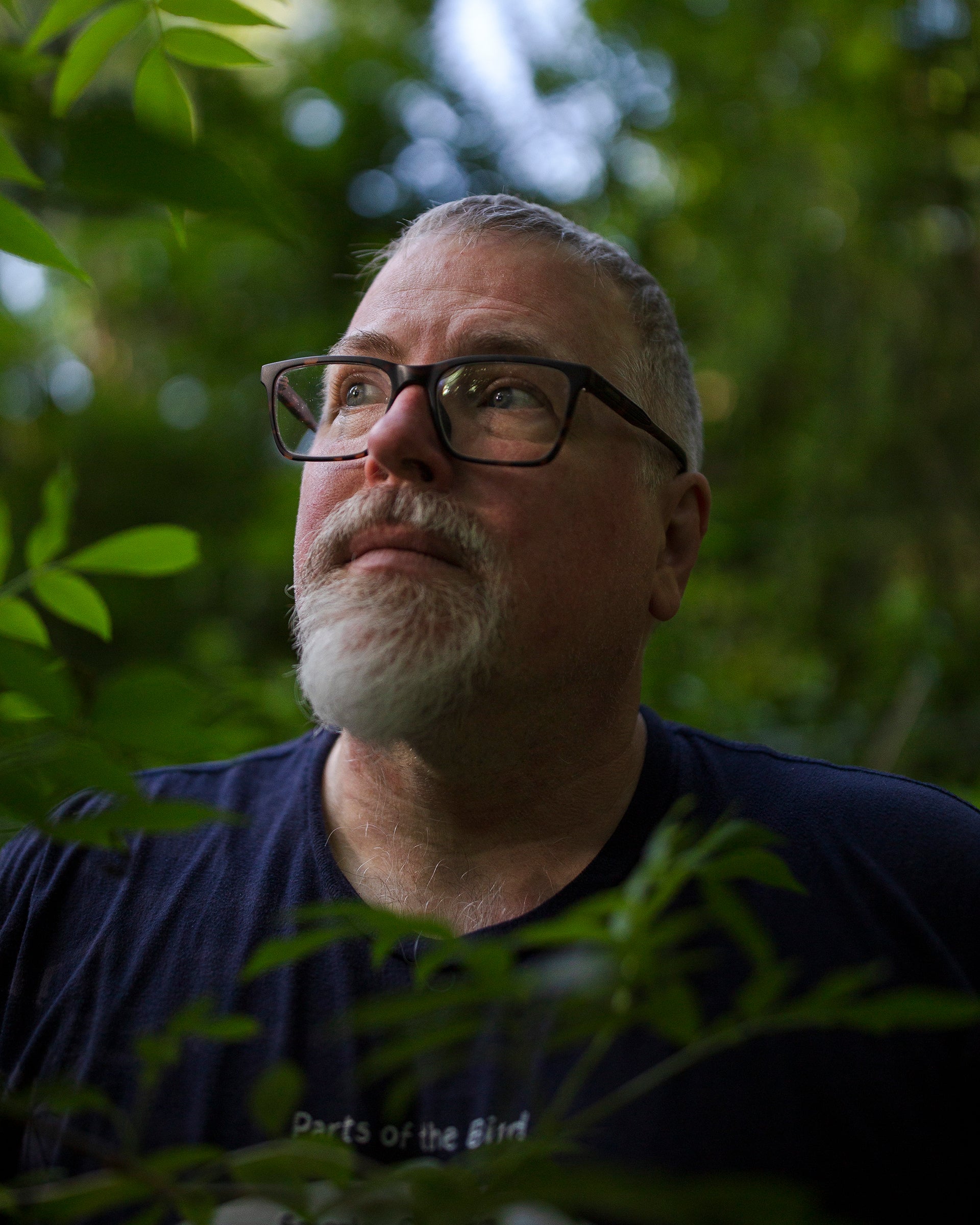 A man wearing glasses looks up while surrounded by green leaves. 