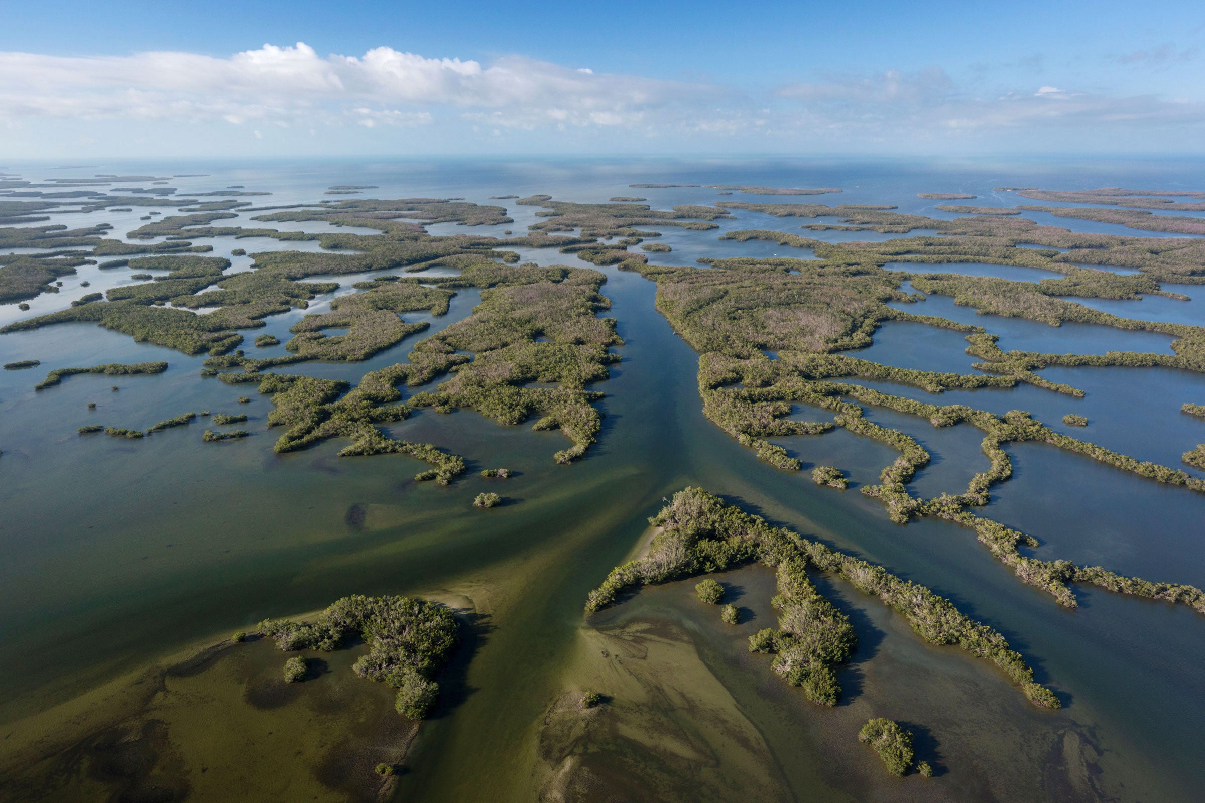 A patchwork of islands forms a maze of water in the Ten Thousand Islands, part of Everglades National Park along the Gulf of Mexico. Mac Stone