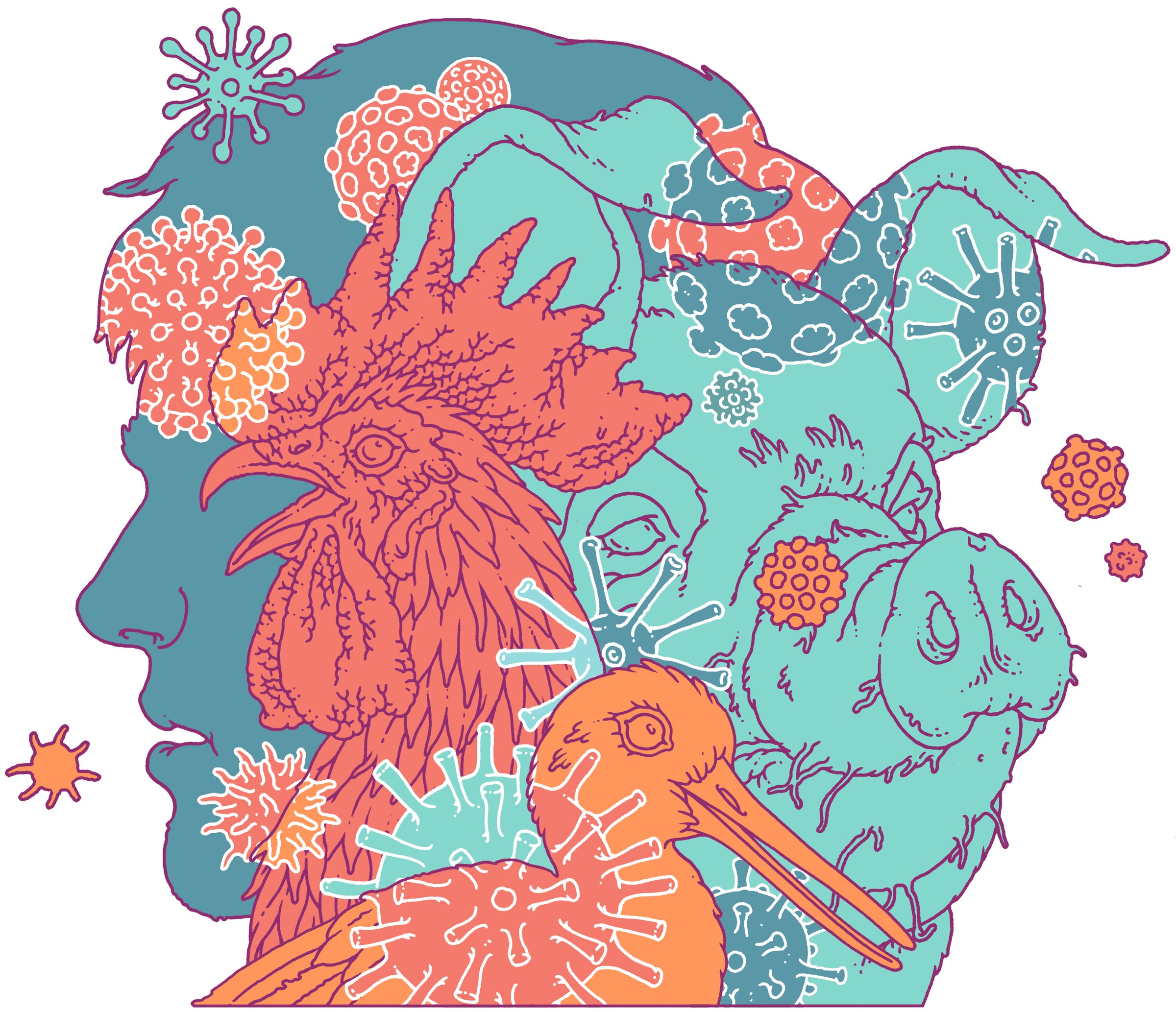 Illustration: Eric Nyquist