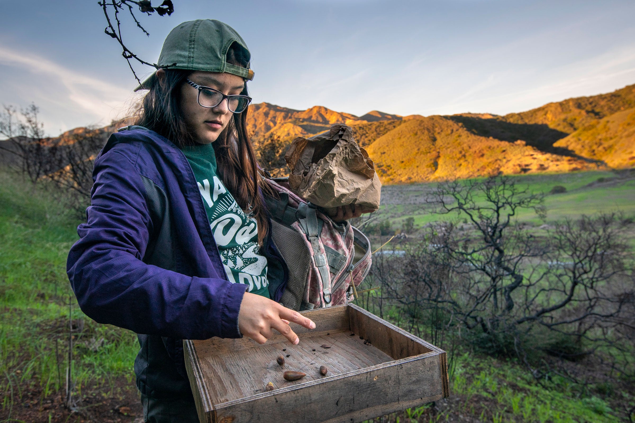 Rivera drops acorns onto a feeder. Morgan Heim
