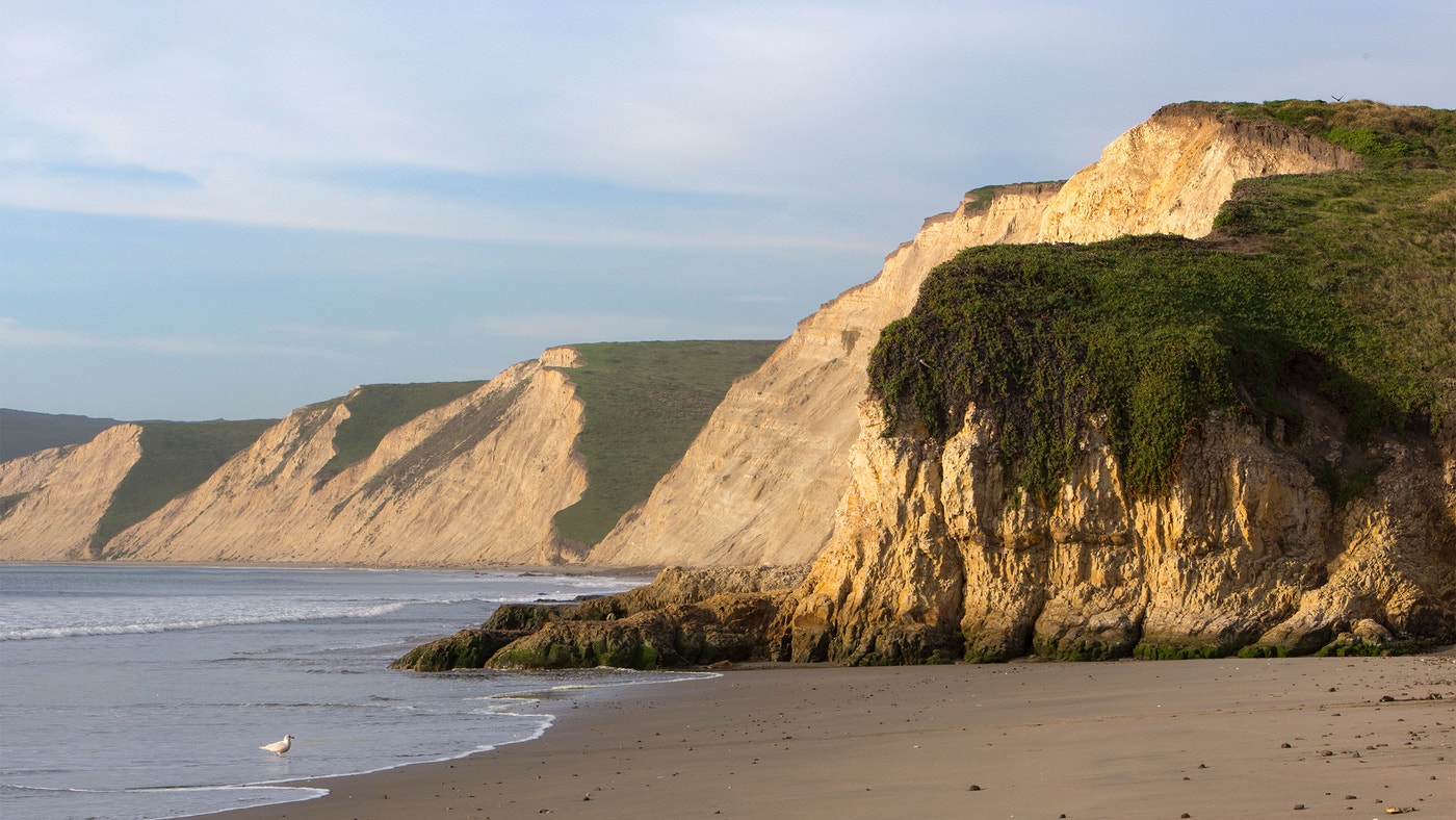 Point Reyes Birding 10 National Parks That Are Surprisingly Great for Birding | Audubon