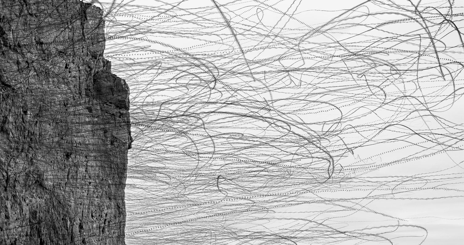 Alpine Swifts, L’Estartit, Catalonia, Spain. Xavi Bou