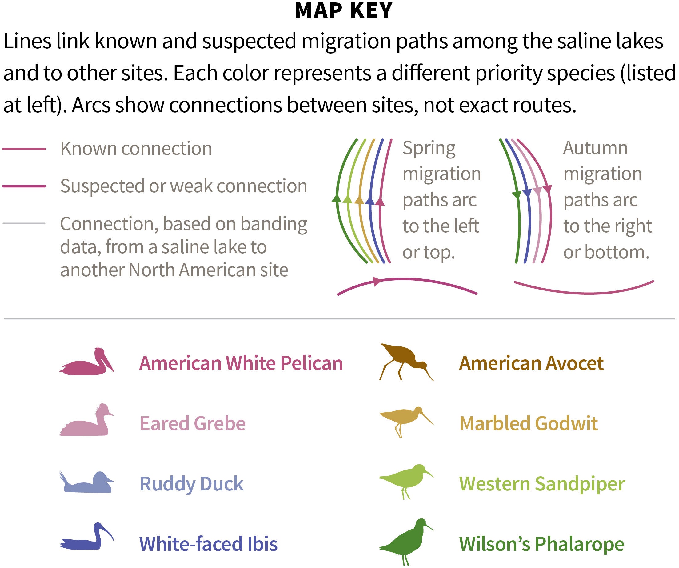 Data visualization: Katie Peek