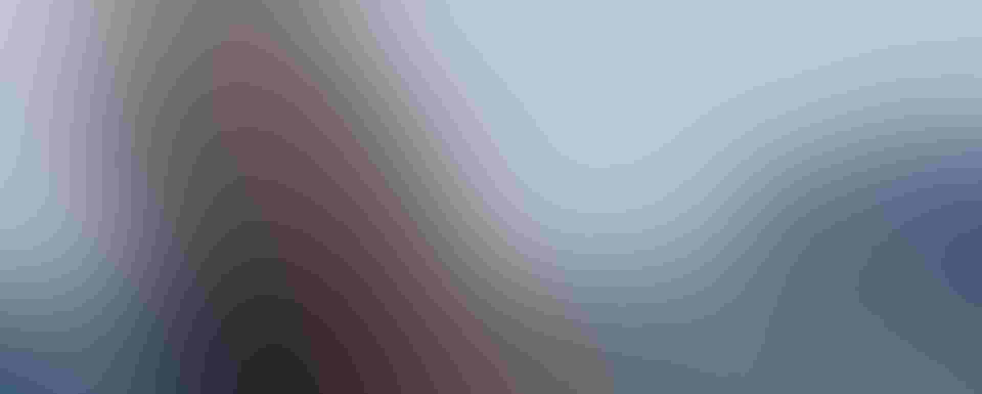 A flock of European Starlings with a Peregrine Falcon in hot pursuit. These dances between predator and prey will last for mere seconds and cover a mile or two of ground, making them difficult to document. Photo: Nick Dunlop