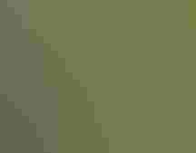 Summer Tanager. Becky Matsubara/Flickr (CC BY 2.0)