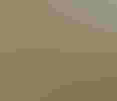 Zach Slavin - National Audubon Society