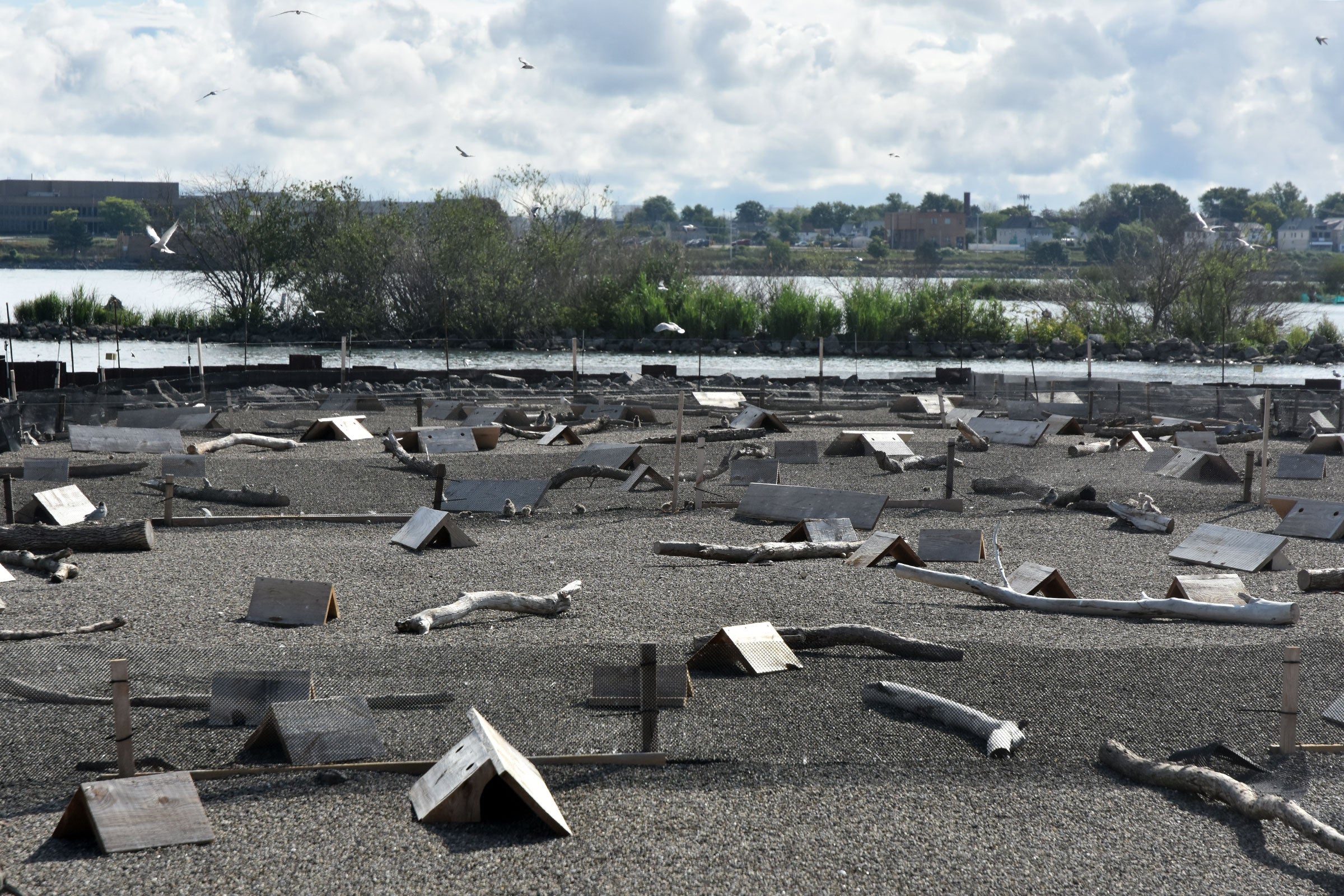 Image of rocky island with tent-like wooden structures scattered across it.