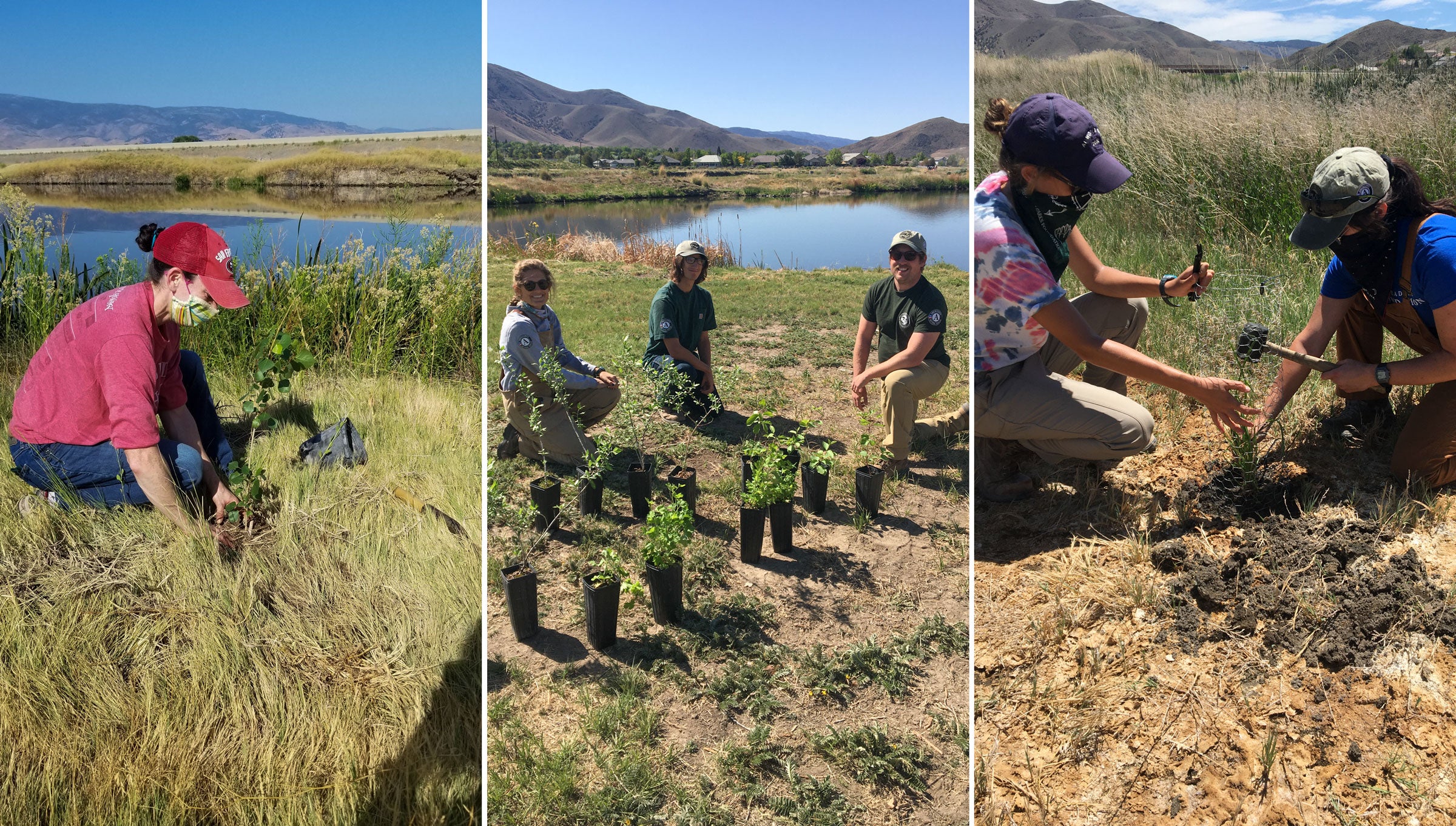 Truckee Meadows Parks Foundation, in partnership with Lahontan Audubon Society and AmeriCorps, plant native species in Truckee Meadows Nature Study Area in Reno, Nevada. Courtesy of Truckee Meadows Parks Foundation