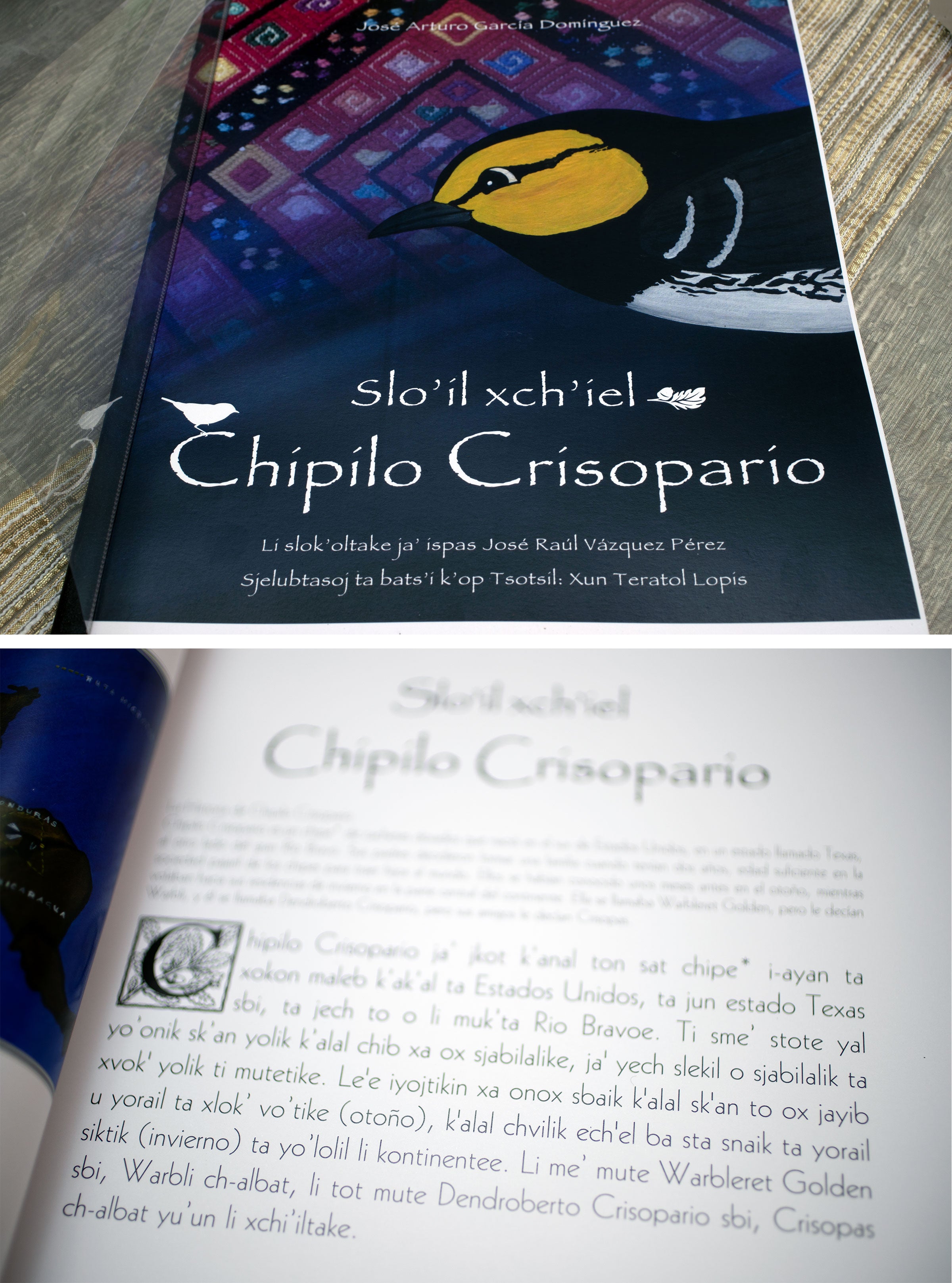 La versión en Tsotsil del cuento de Chipilo ha sido distribuida a través de CDs y memorias USB a los profesores de la región. Ahora, Pronatura quiere hacer lo mismo con el audiolibro. Fotos: Jorge Silva Rivera