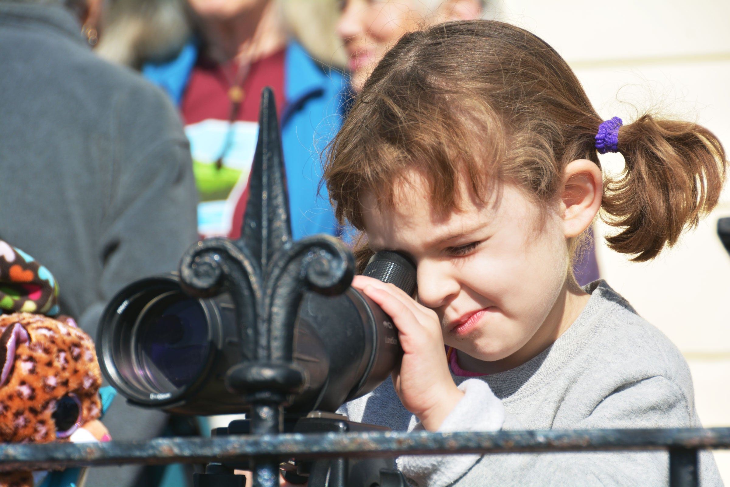 Bring your kids to a birding event and they may find themselves as rapt as you are. David Taylor