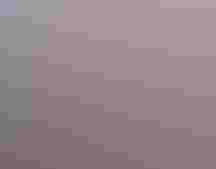 A white crowned sparrow sings in front of a rainbow background.